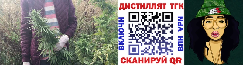 Купить где  Бирюч  Дистиллят ТГК концентрат 