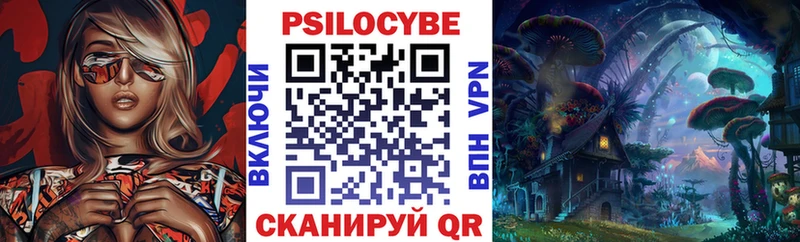 Купить где Бирюч Галлюциногенные грибы MAGIC MUSHROOMS
