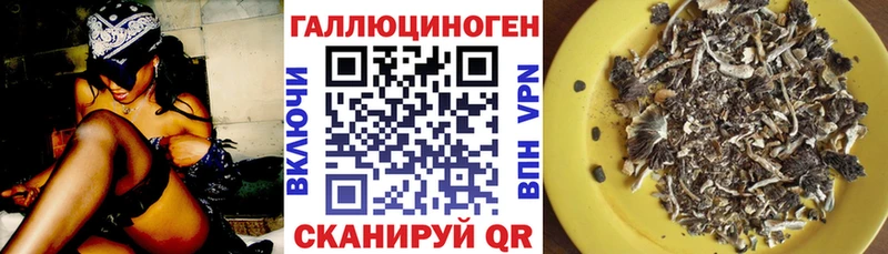 Псилоцибиновые грибы Cubensis Бирюч